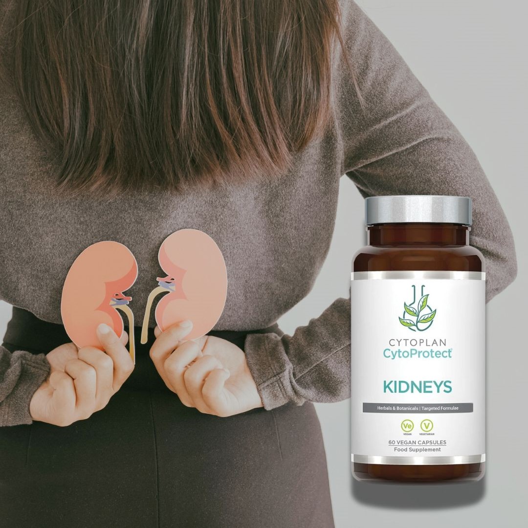 CytoProtect Kidneys